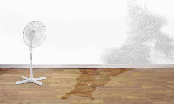 Best Emergency water damage restoration  in Goodview, MN