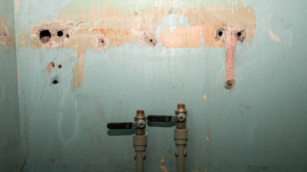 Best Water damage restoration near me  in Goodview, MN