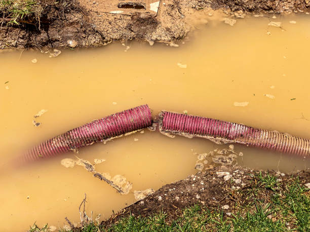 Best Professional water damage repair  in Goodview, MN