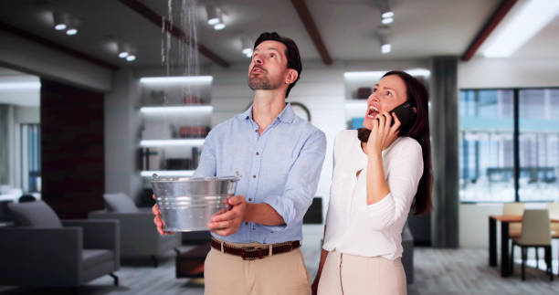 Water damage restoration experts